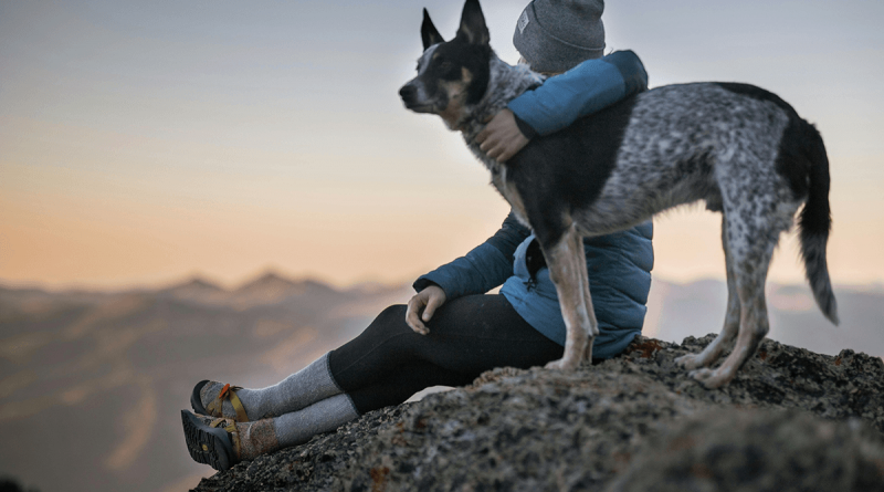 A person sitting on a hilltop with an arm around their dog as they both look off to the horizon.