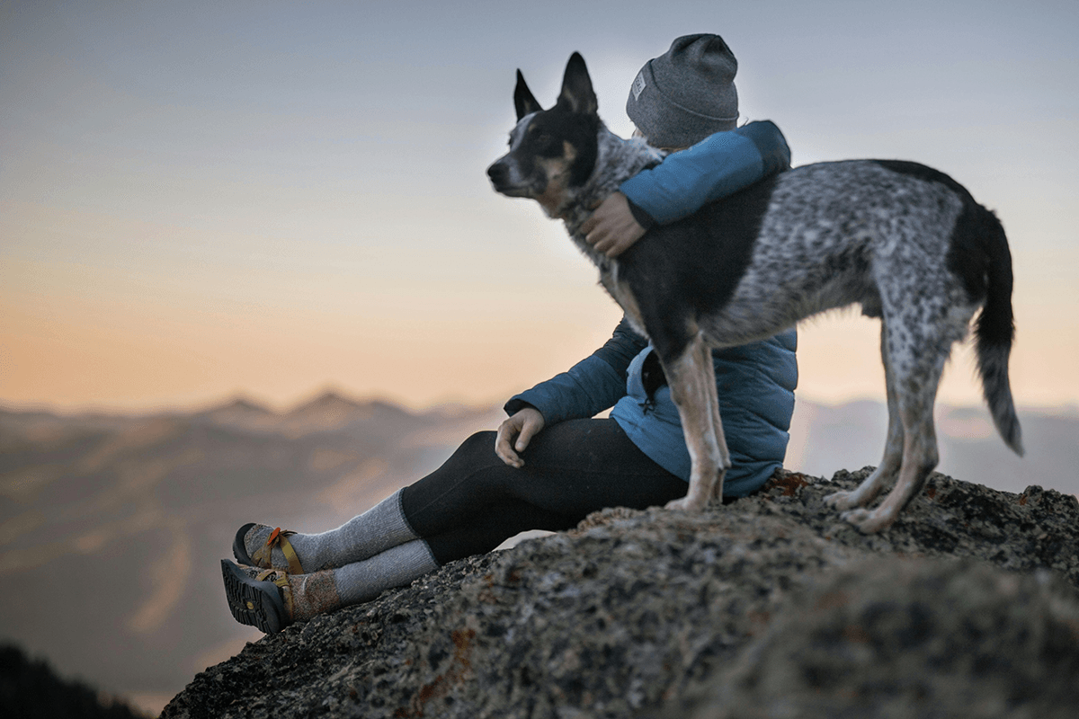 A person sitting on a hilltop with an arm around their dog as they both look off to the horizon.