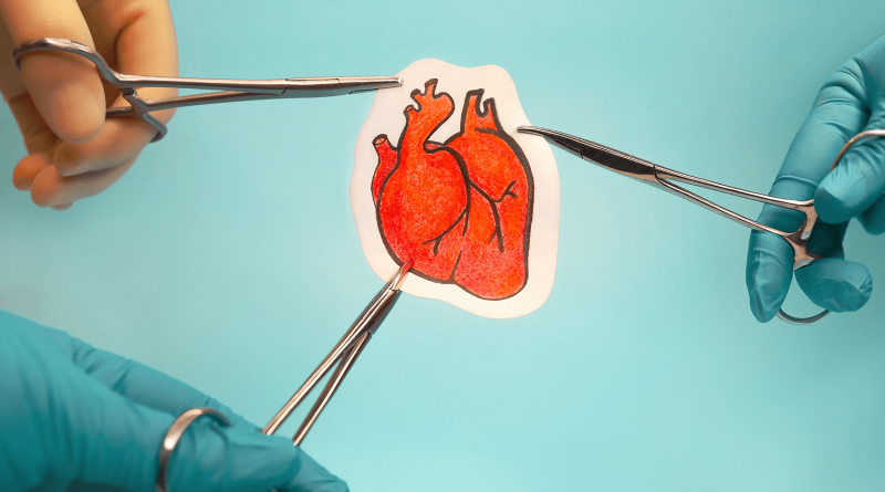 A cutout paper heart being held by clamps held by three hands.