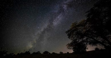 The image shows a night sky filled with countless stars, with the Milky Way galaxy prominently visible as a bright, dense band of stars stretching diagonally across the space. Silhouettes of trees and a landscape are visible at the bottom of the image, adding depth to the scene.