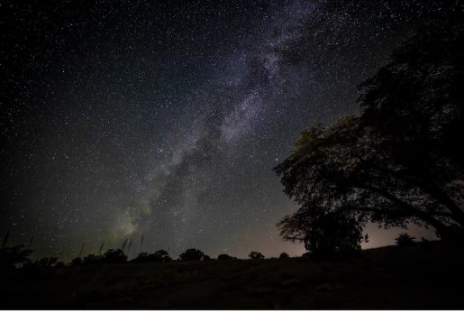 The image shows a night sky filled with countless stars, with the Milky Way galaxy prominently visible as a bright, dense band of stars stretching diagonally across the space. Silhouettes of trees and a landscape are visible at the bottom of the image, adding depth to the scene.