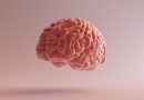 Floating brain.