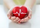 Close up of hand with cardiogram on red heart.