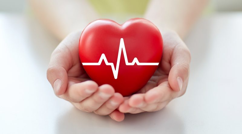 Close up of hand with cardiogram on red heart.