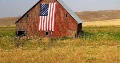 How the pediatric workforce shortage places rural kids at risk in a changing healthcare landscape