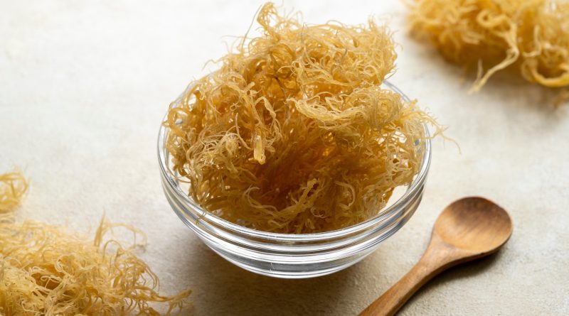 Close up of golden dried Sea Moss in a clear bowl with a wooden spoon.