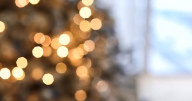 Holiday lights blurred.