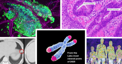 From the Labs’ most viewed posts of 2025