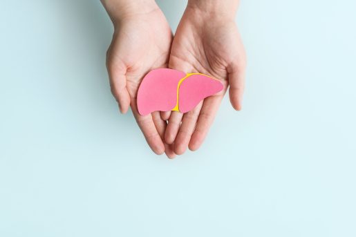 Two hands gently holding a pink anatomical model of a human liver with a yellow outline, against a light blue background