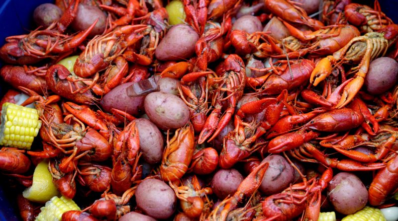 Close up of crawfish, potatoes, corn cobs and sausages from a crawfish boil.