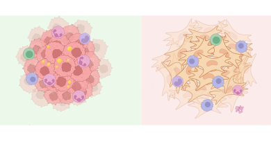 There is more than one way for triple-negative breast cancer to become resistant to therapy