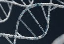 Beyond DNA sequence and into 3D shapes: how bacteria manage DNA