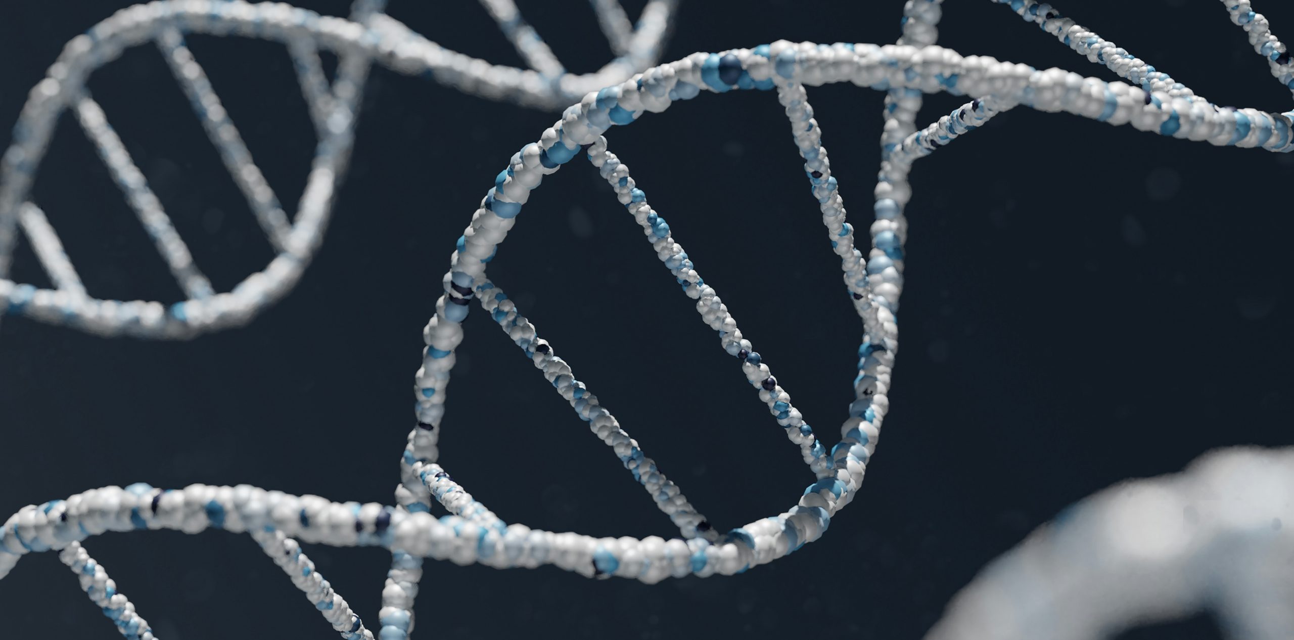 Beyond DNA sequence and into 3D shapes: how bacteria manage DNA
