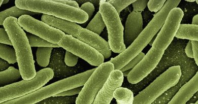 Teamwork: An unexpected strategy bacteria use to survive antibiotics