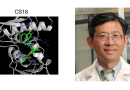 CS18: a new drug that can potentially overcome cancer drug resistance