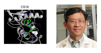 CS18: a new drug that can potentially overcome cancer drug resistance